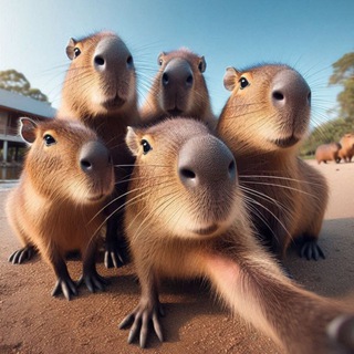 Telegram profile photo for бобр🦦