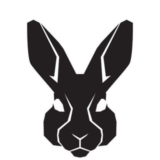 Telegram profile photo for BreakingHara. Нора разработчика-одиночки