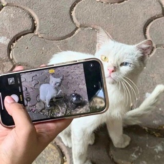 Telegram profile photo for لفاطم