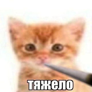 Telegram profile photo for Яндекс ヾ(=`ω´=)ノ”