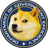 Telegram profile photo for Department Of Government Efficiency