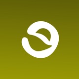 Telegram profile photo for Smile INC