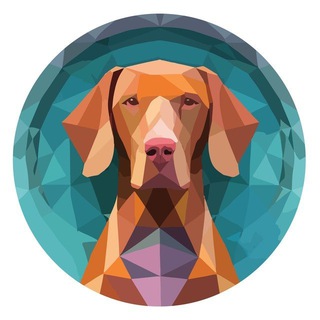 Telegram profile photo for Hungarian Vizsla Inu & VizslaSwap Official Chat