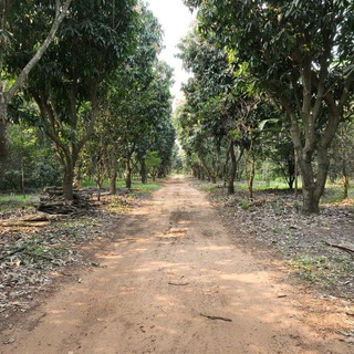 Telegram profile photo for The Parent Tree Farm