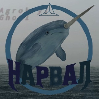 Telegram profile photo for Нарвалы | лакросс | Владивосток🦄🐬