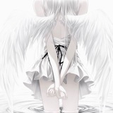 Telegram profile photo for silence in the rain?