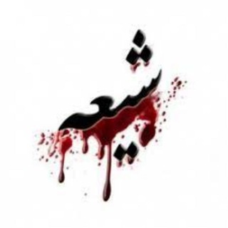 Telegram profile photo for اخبار شیعیان