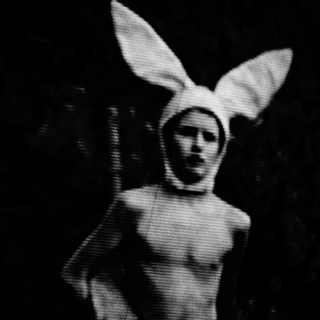 Telegram profile photo for Leo Rabbit (Кролик Лео)