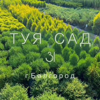 Telegram profile photo for Питомник Туя - Сад 31