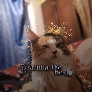 Telegram profile photo for 𝑃𝑖𝑠ℎ𝑖𝑛𝑘𝑎 𝑡ℎ𝑒 𝑏𝑒𝑠𝑡🛁࿐