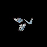 Telegram profile photo for Love_your_self🪐