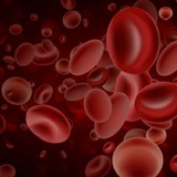 Telegram profile photo for hematology