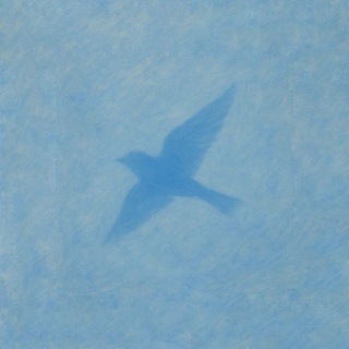 Telegram profile photo for أرشِيـف رَاءْ