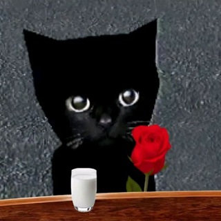 Telegram profile photo for $bro the cat