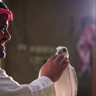 Telegram profile photo for 🫧هــواجــيــس البدر 🫧