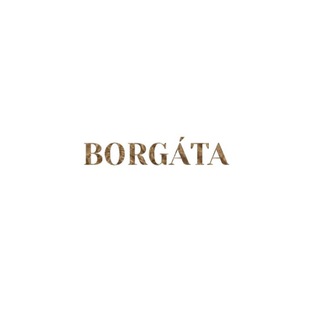 Telegram profile photo for Borgata