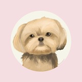 Telegram profile photo for Уɯᴀᴄᴛыᴇ ᴄᴨᴧᴇᴛни