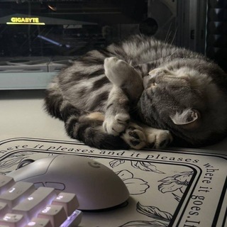 Telegram profile photo for предотвращение