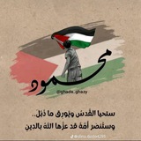 Telegram profile photo for Mahmoud Atia