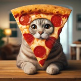 Telegram profile photo for Pizza Cat Portal