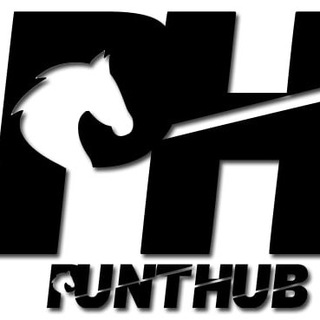 Telegram profile photo for Punthub Free Tips