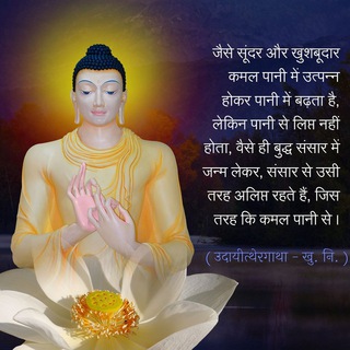 Telegram profile photo for ☸️🌼DHAMMA DANA🌼☸️