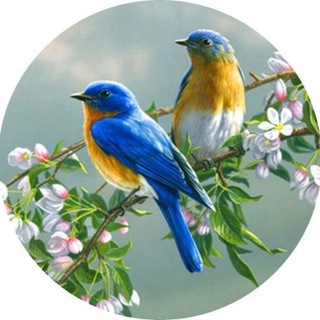 Telegram profile photo for Этот Удивительный Мир