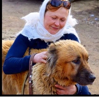 Telegram profile photo for Приют «Ванечка»