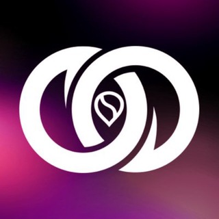 Telegram profile photo for Router Protocol Chat