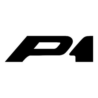 Telegram profile photo for P1 bot