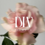 Telegram profile photo for DLV Flowers 🌿