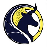 Telegram profile photo for Apex