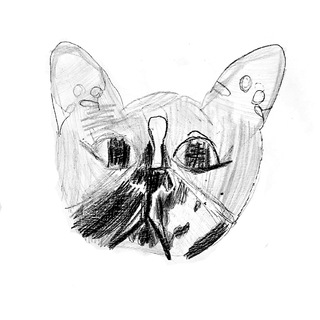 Telegram profile photo for СГРЧ