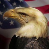Telegram profile photo for The Patriots United 🦅