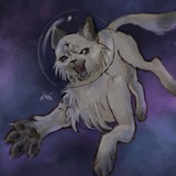 Telegram profile photo for 🧻 ᤋᥲᥴянчᥙκᥙദ്ദി◝ ⩊ ◜.ᐟ