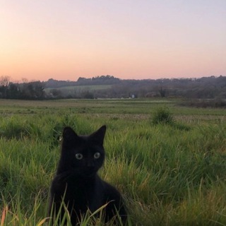 Telegram profile photo for сейчас бы