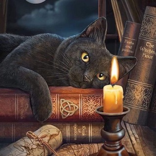 Telegram profile photo for Магия старой ведьмы