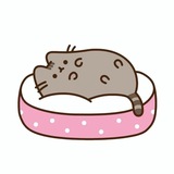 Telegram profile photo for архив пушина