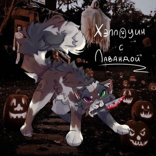 Telegram profile photo for ᯓӼ϶ʌʌѳƴџʜ ҁ Λѧʙѧʜđѳӣ🎃