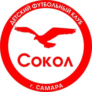 Telegram profile photo for Детский футбольный клуб «Сокол» Самара