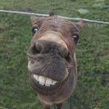 Telegram profile photo for arizona17 જ⁀➴ правила