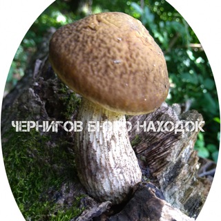 Telegram profile photo for Чернигов Бюро находок