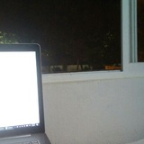 Telegram profile photo for Programmer in Mexico