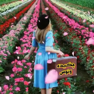 Telegram profile photo for ❤️چکیده ونوس❤️