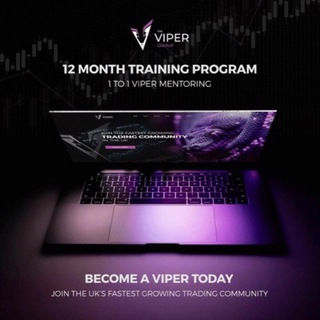 Telegram profile photo for THE VIPER GROUP