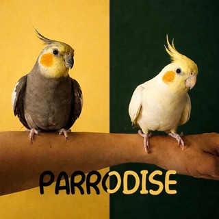 Telegram profile photo for 🦜 P A R R O D I S E 🦜
