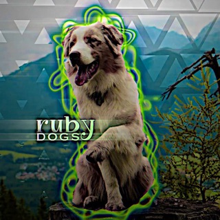 Telegram profile photo for ruby dogs