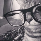 Telegram profile photo for Подарки от кис 🎀🐈⬛