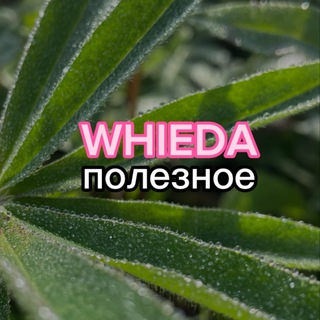Telegram profile photo for Whieda полезное