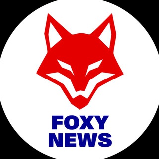 Telegram profile photo for FOXY NEWS 🦊